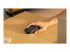 Logitech M240 for Business - Höger vinkel